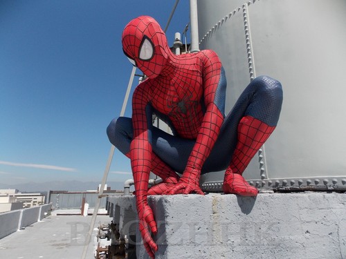 The amazing spiderman - tasm, 2