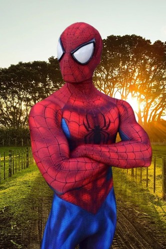 Spiderman costume deluxe - spiderman, in