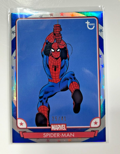 Spider man blu e argento - #23,