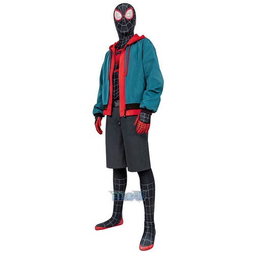 Spider man into the - spider-man:,