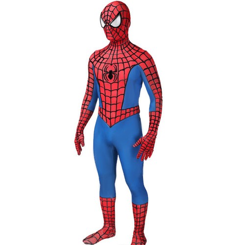 Costume spider man into the - costume,