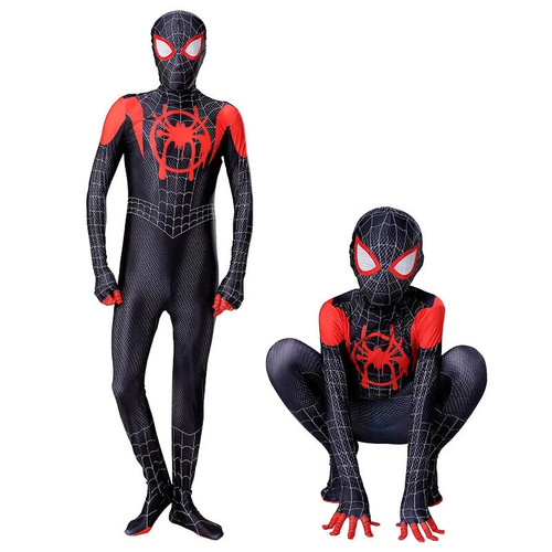 Costume into the spiderverse - into,