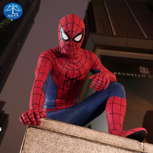 Nuovo costume cosplay